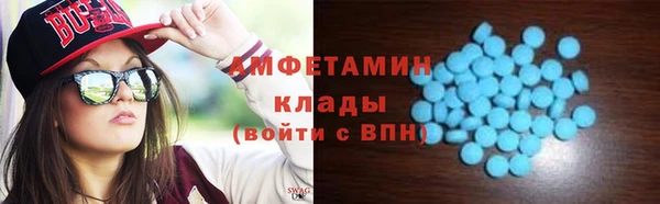 шишки Богородицк