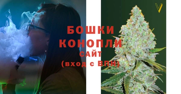 шишки Богородицк